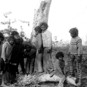 Group of twelve children, Cundeelee